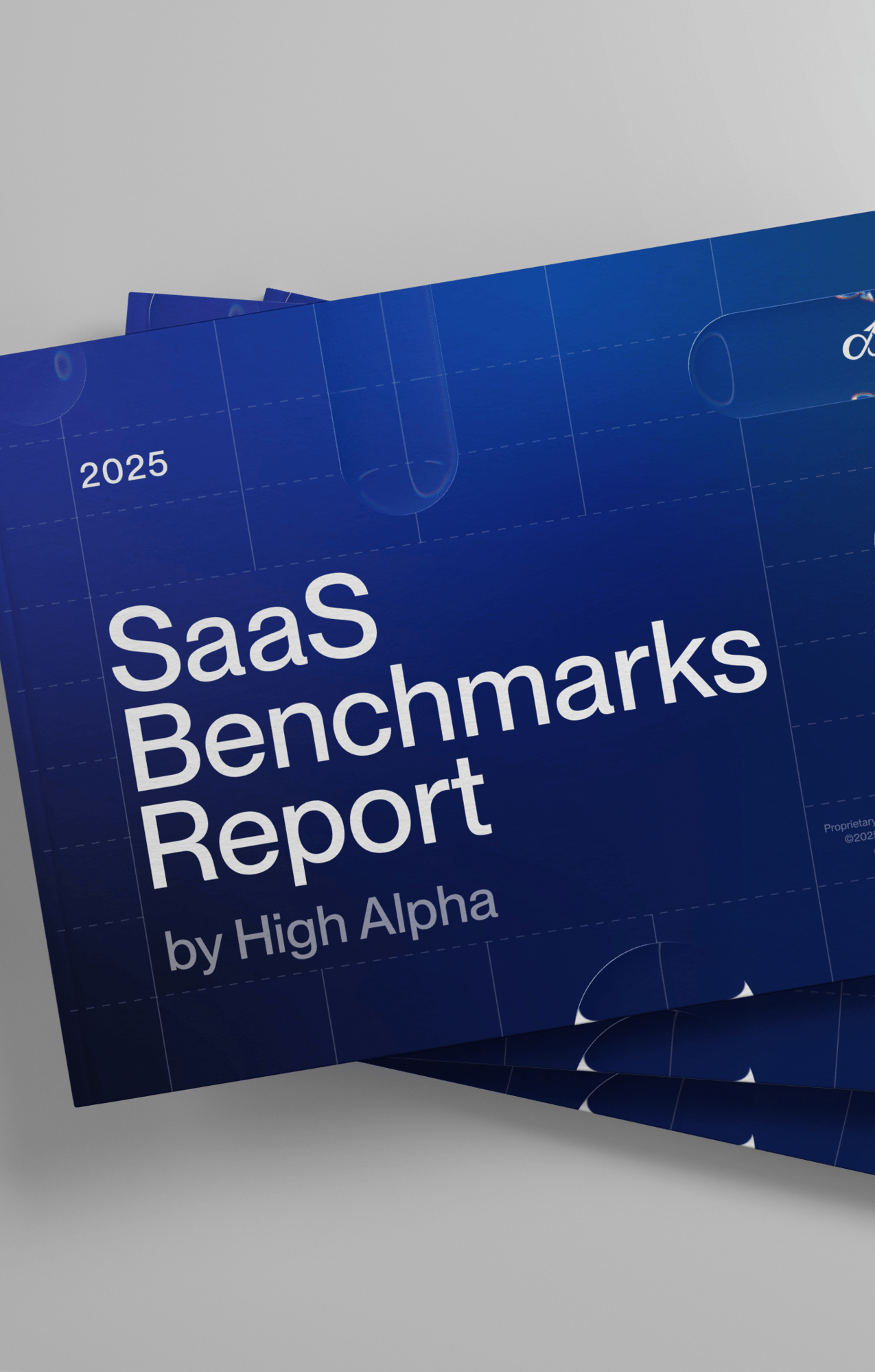 2025 SaaS Benchmarks (2)-1